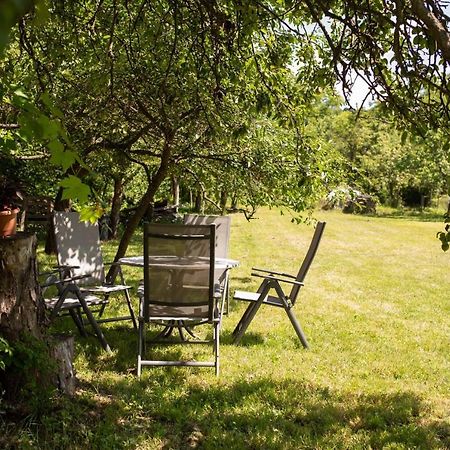 Barna Fahaz Apartment Tarnaszentmaria Екстериор снимка