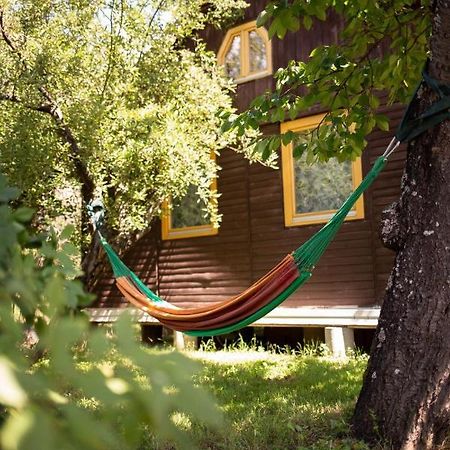 Barna Fahaz Apartment Tarnaszentmaria Екстериор снимка